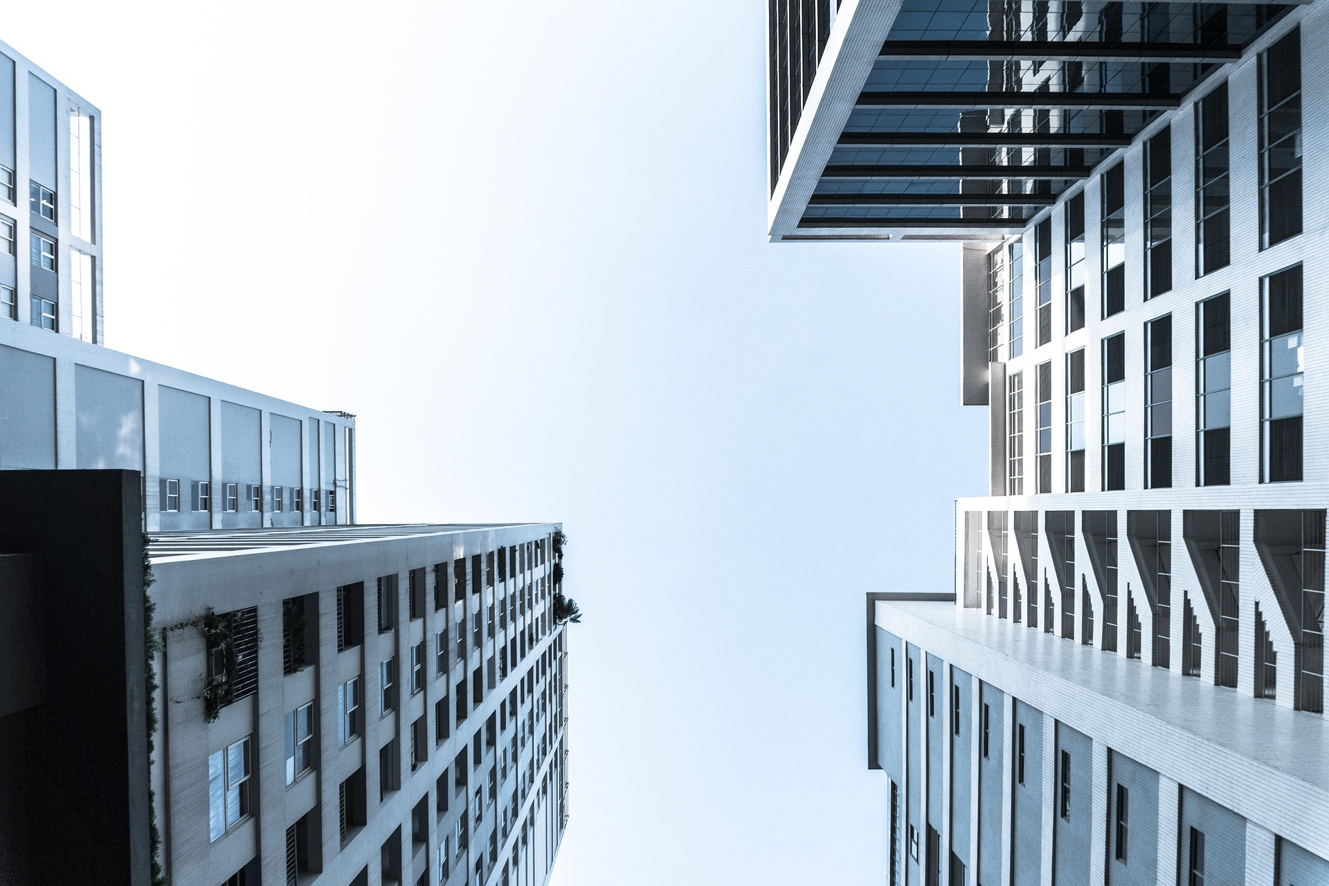 immobilien Experte Hamburg